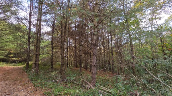 Lot 2 at Scenic Trails property photo