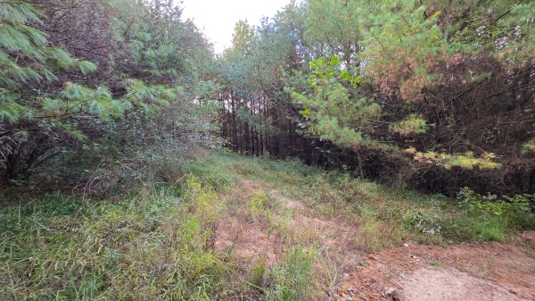 Lot 2 at Scenic Trails property photo