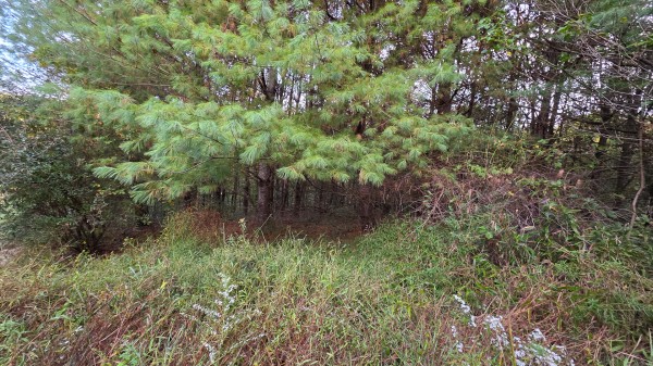 Lot 2 at Scenic Trails property photo