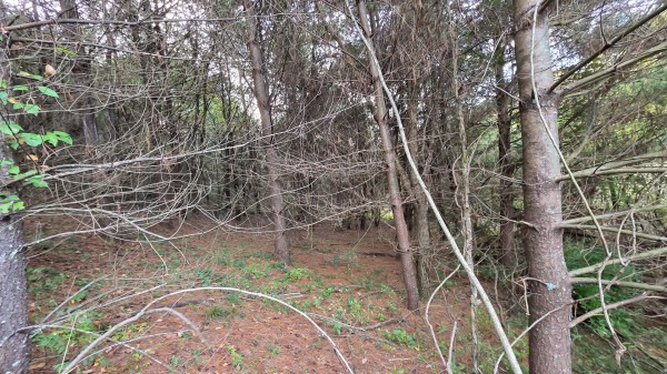 Lot 2 at Scenic Trails property photo