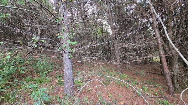 Lot 2 at Scenic Trails property photo