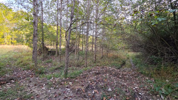 Lot 2 at Scenic Trails property photo