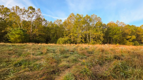 Lot 2 at Scenic Trails property photo
