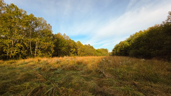 Lot 2 at Scenic Trails property photo