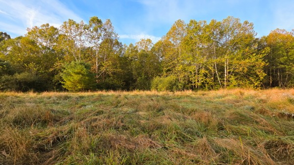 Lot 2 at Scenic Trails property photo