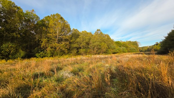 Lot 2 at Scenic Trails property photo