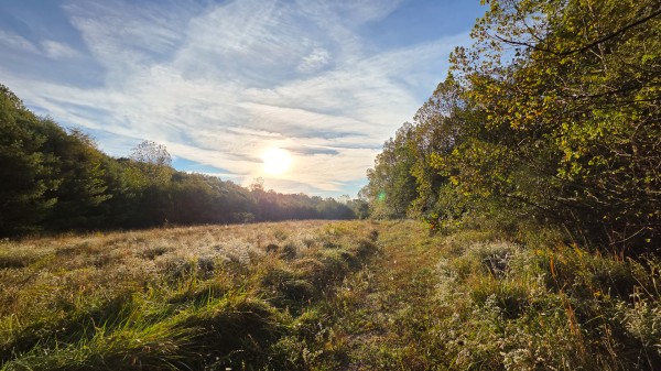 Lot 2 at Scenic Trails property photo