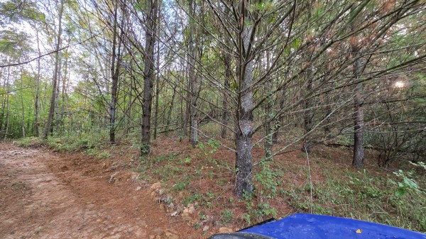 Lot 2 at Scenic Trails property photo