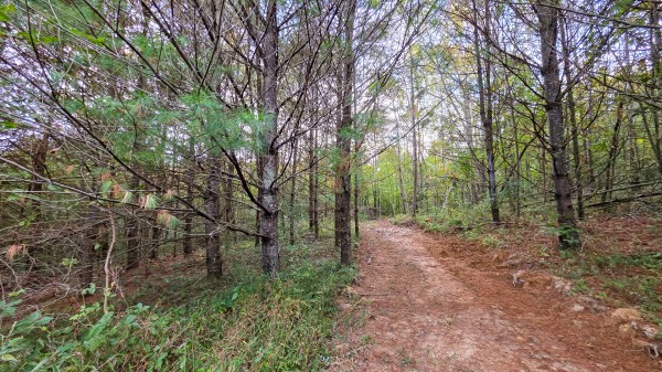 Lot 2 at Scenic Trails property photo