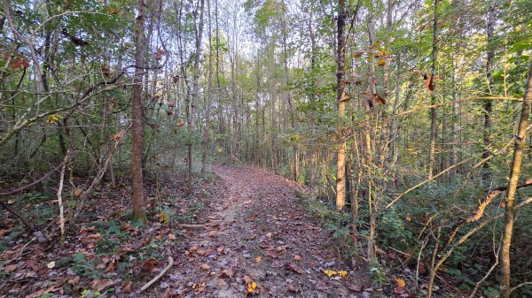 Lot 2 at Scenic Trails property photo