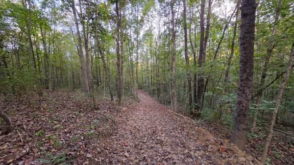 Lot 2 at Scenic Trails property photo