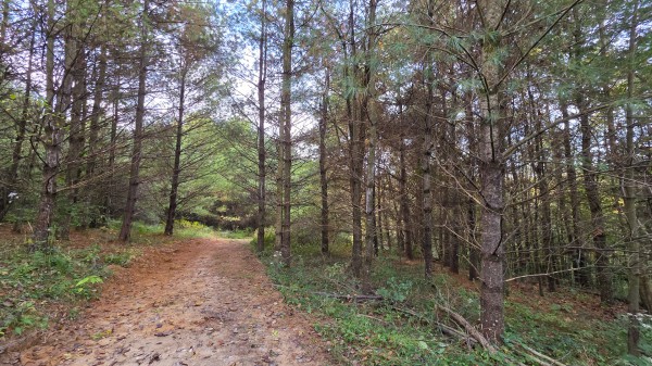 Lot 2 at Scenic Trails property photo