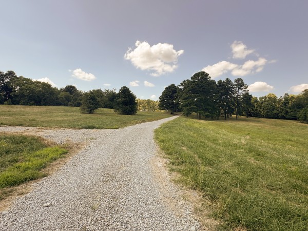 Skyline House property photo