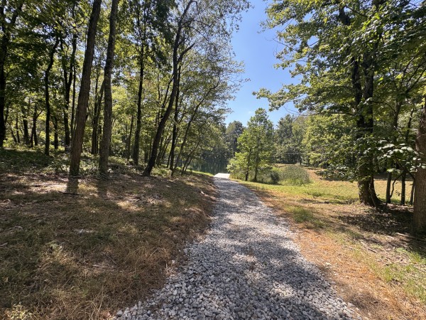 Skyline House property photo