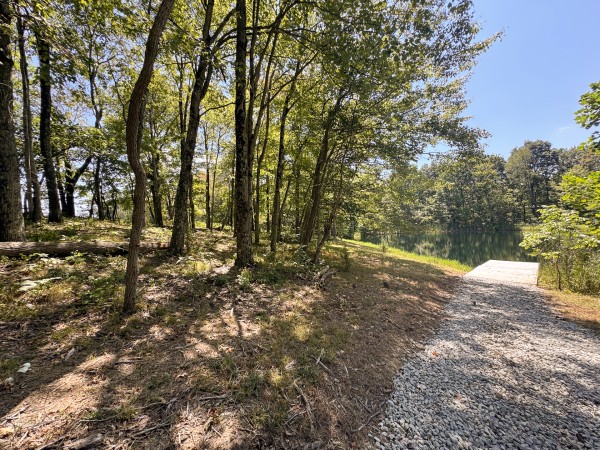 Skyline House property photo