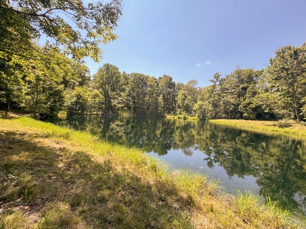Skyline House property photo