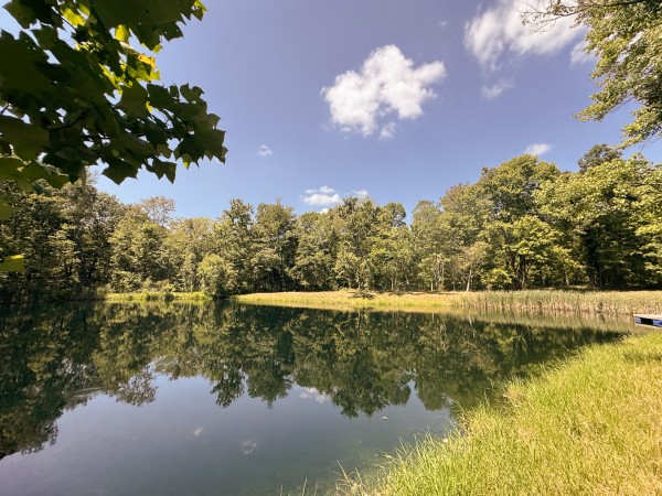 Skyline House property photo