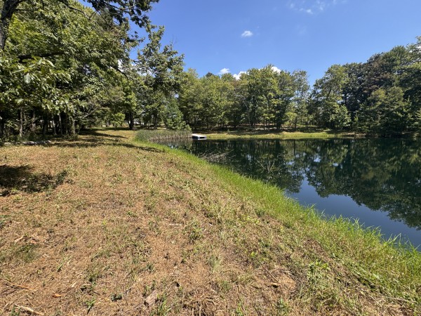 Skyline House property photo