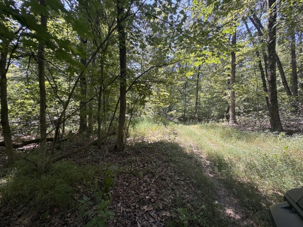 Skyline House property photo