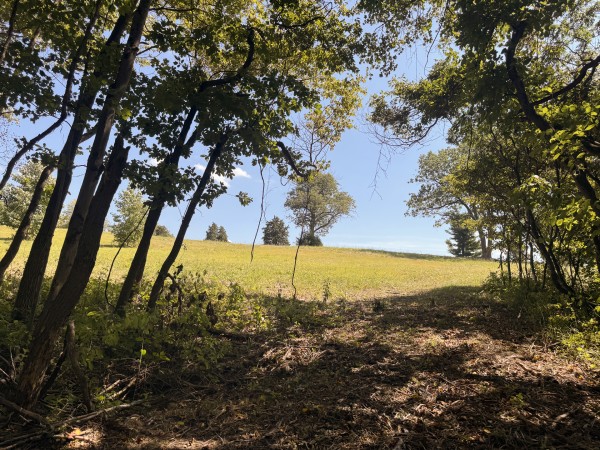 Skyline House property photo