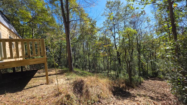 Lil’ Slice of Heaven Cabin property photo