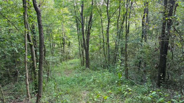 More of Lil’ Slice of Heaven Cabin