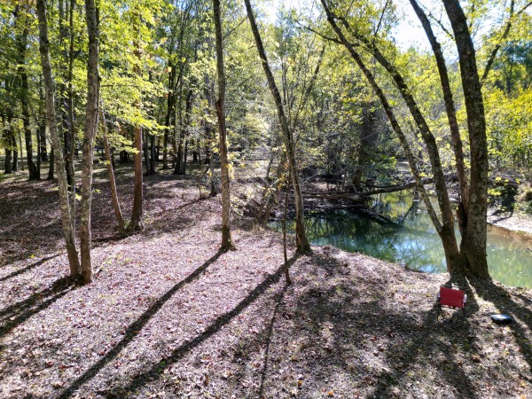 Racoon Creek Adventures property photo