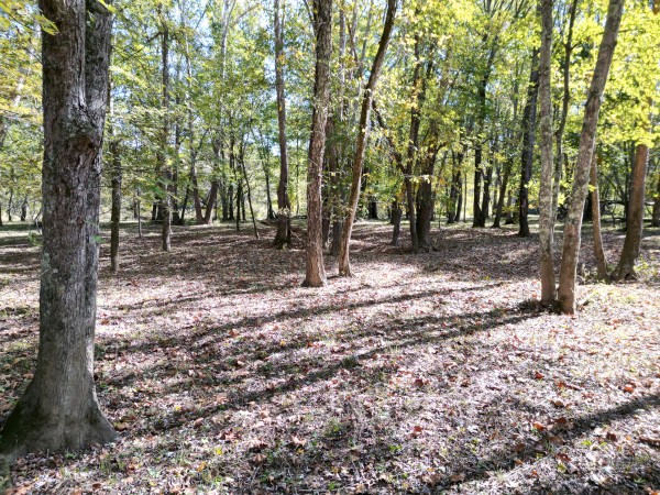 Racoon Creek Adventures property photo