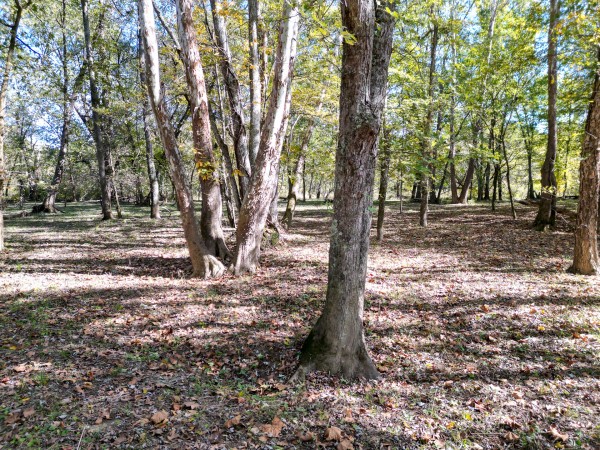 Racoon Creek Adventures property photo