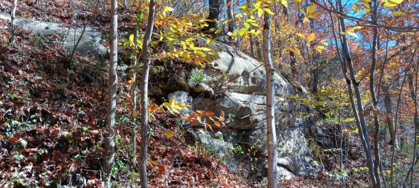 Racoon Creek Adventures property photo