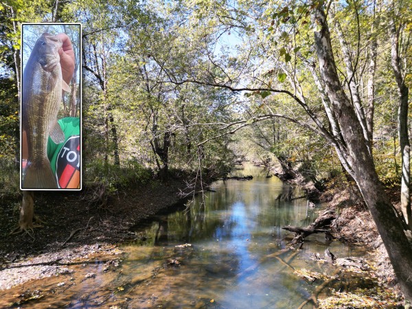 Racoon Creek Adventures - Gallia County, Ohio - 8.9 acres