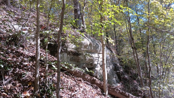 Racoon Creek Adventures property photo