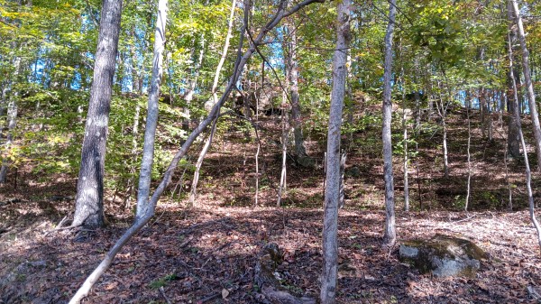 Racoon Creek Adventures property photo