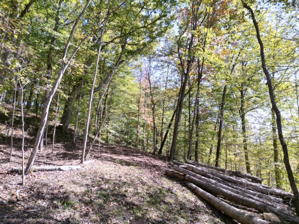 Racoon Creek Adventures property photo