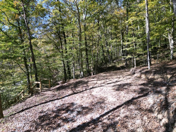 Racoon Creek Adventures property photo