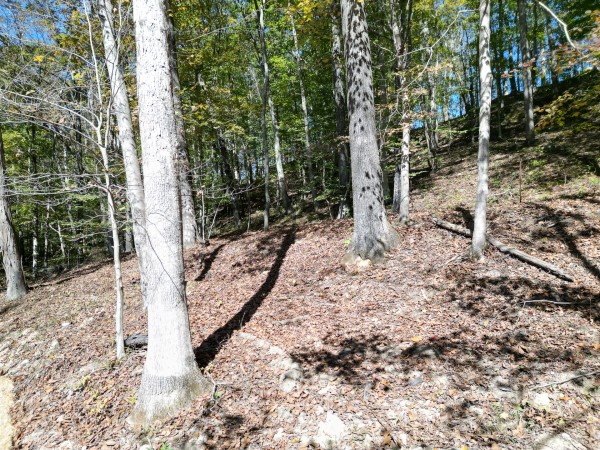 Racoon Creek Adventures property photo