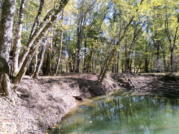 More of Racoon Creek Adventures