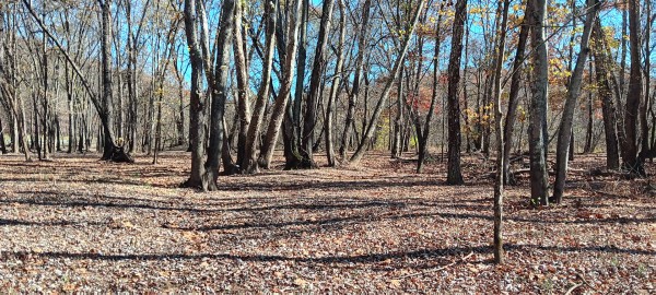Racoon Creek Adventures property photo