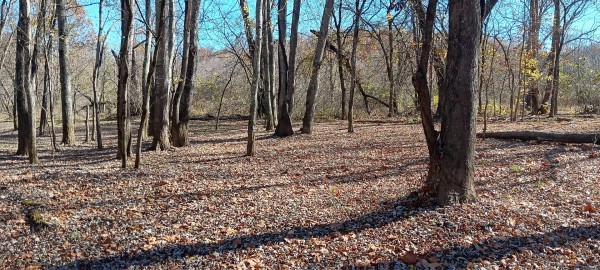 Racoon Creek Adventures property photo