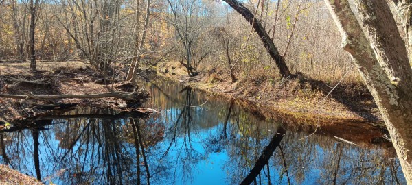 Racoon Creek Adventures property photo