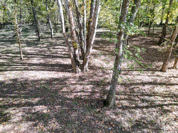 Racoon Creek Adventures property photo
