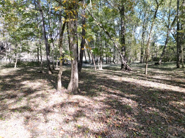 Racoon Creek Adventures property photo