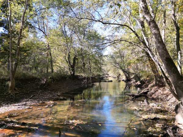 More of Racoon Creek Adventures