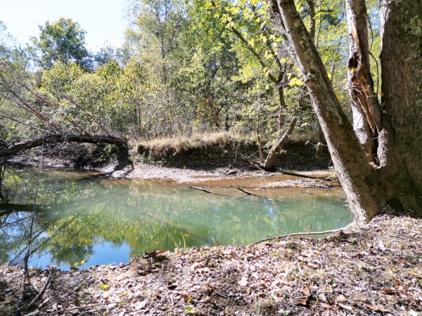Racoon Creek Adventures property photo