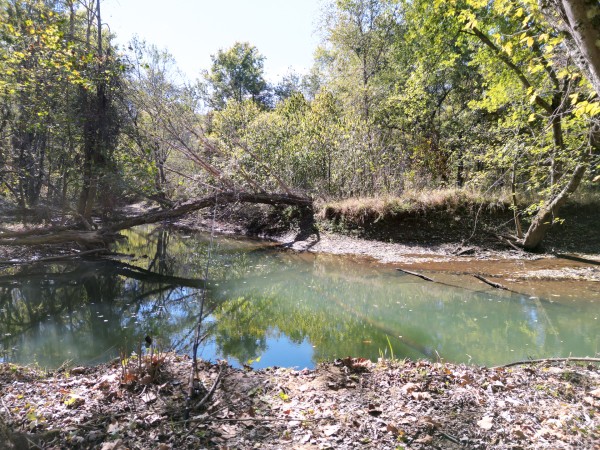 Racoon Creek Adventures property photo