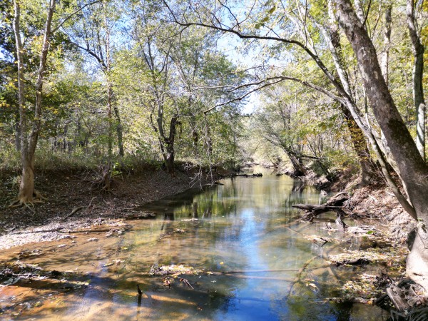 Racoon Creek Adventures property photo