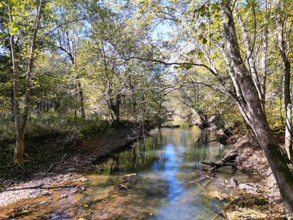 Racoon Creek Adventures property photo