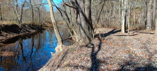 Racoon Creek Adventures property photo