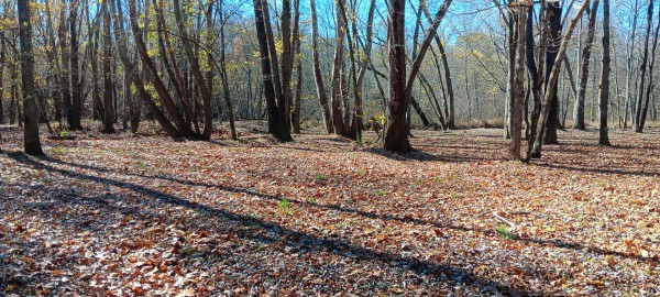 Racoon Creek Adventures property photo