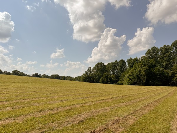 Tract 5 at Wolf Hill Estates property photo